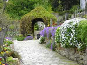 Vineyard of Montmartre, Paris Vineyard of Montmartre, Paris